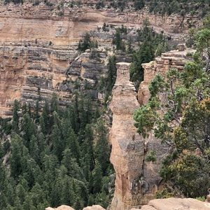 Meet your Posher, Kaitlyn